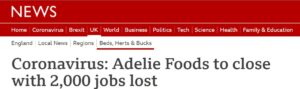 Adelie Food